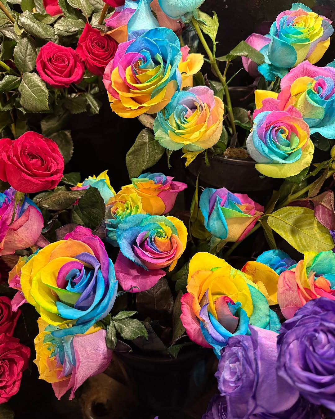 \ud83c\udf08 Happy Pride Month! \ud83c\udff3\ufe0f\u200d\ud83c\udf08\n\nThis month and every month, we celebrate love, individuality, inclusion, and the strength of the LGBTQ.\n\nHere's to embracing authenticity, spreading kindness, and celebrating pride together all month long!\n\nDM us your Pride Month photo to be featured on our page!\n\n